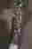 item-117125977=8