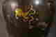 item-117126091=5