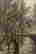 item-117126134=12
