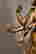 item-117126167=5