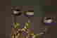 item-117126279=10