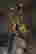 item-117126279=12