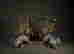 item-117126279=3