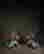 item-117126279=4
