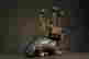 item-117126279=5