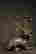 item-117126279=6