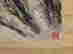 item-119253209=7