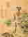 item-120774339=2