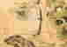 item-120774339=7