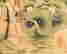 item-120774339=8
