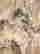 item-120774346=4