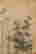 item-120774350=4
