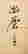 item-120774357=2