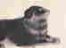 item-120774531=2