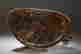 item-124215768=11