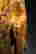item-128159959=3