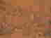 item-128160095=12
