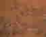 item-128160095=13