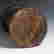 item-133647510=19