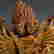 item-133647536=14