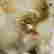 item-133647626=7