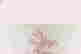 item-137234570=4