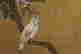 item-137234653=5