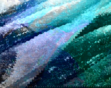 CHRISTOPHER BURKETT â€œBlue Glacial Ice Alaskaâ€ Cibachrome Photo - $5K Value*: Christopher Burkett was born in 1951 and was reared in the Pacific Northwest. In 1975 while he was a brother in a Christian order he became interested in photography as a means of expressing the grace