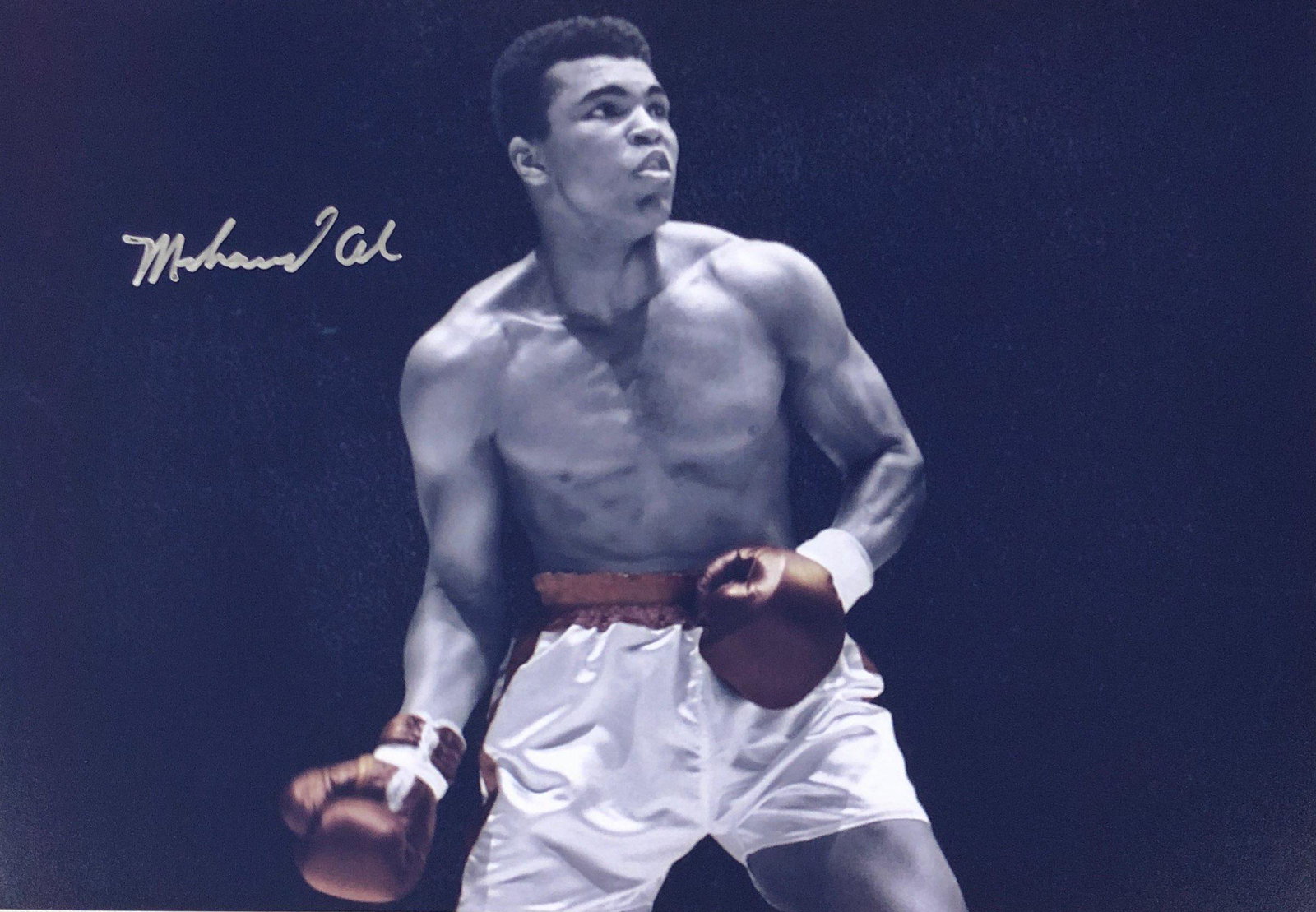 Muhammad Ali Signed Photo: Autographed by:Muhammad AliAuthentication Code: PC26052Item is in great condition with no damage, unframed If image of documentation is not attached in the listing, the lot is sold without documents. 