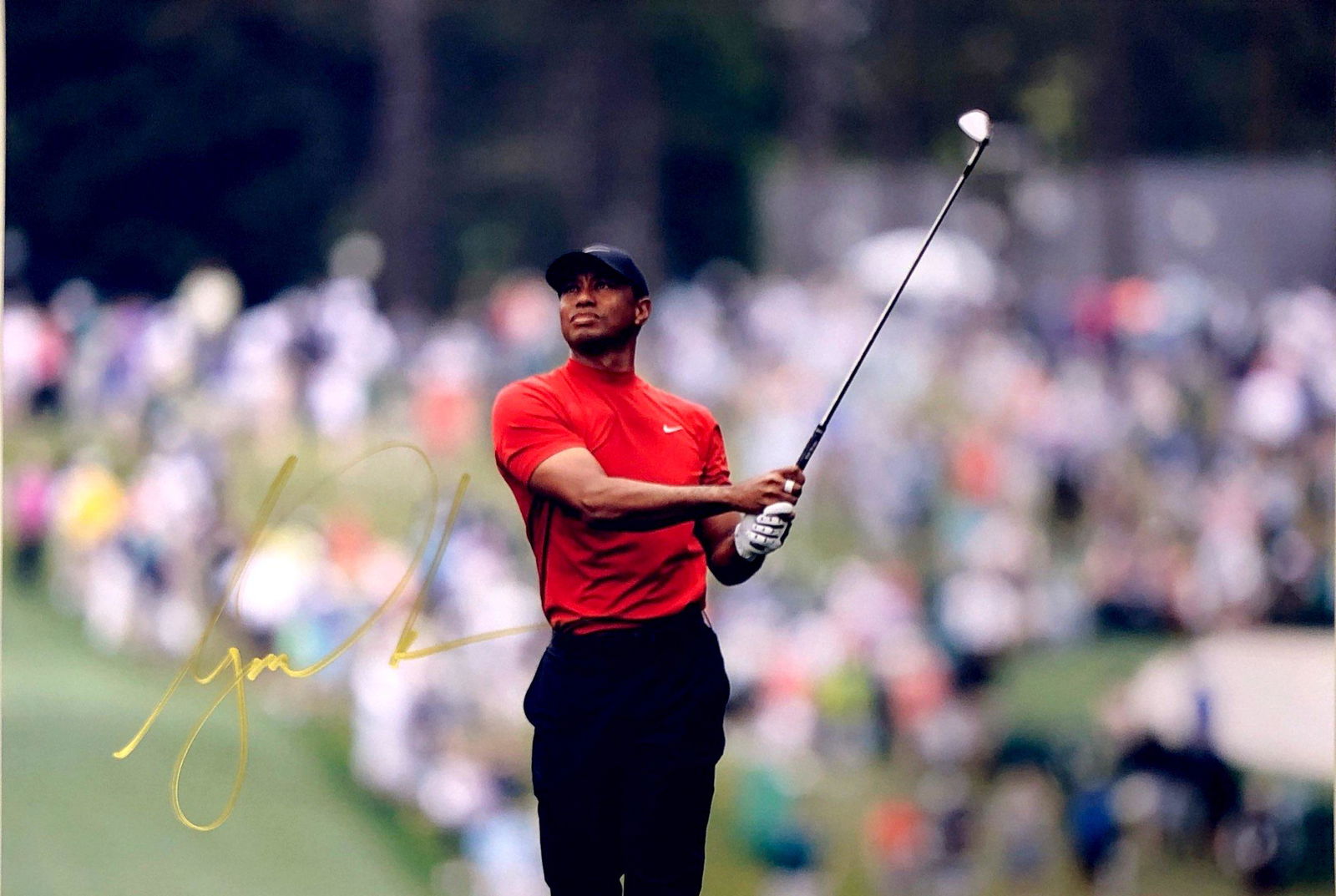 Tiger Woods Autograph Signed Photo (1 of 1)