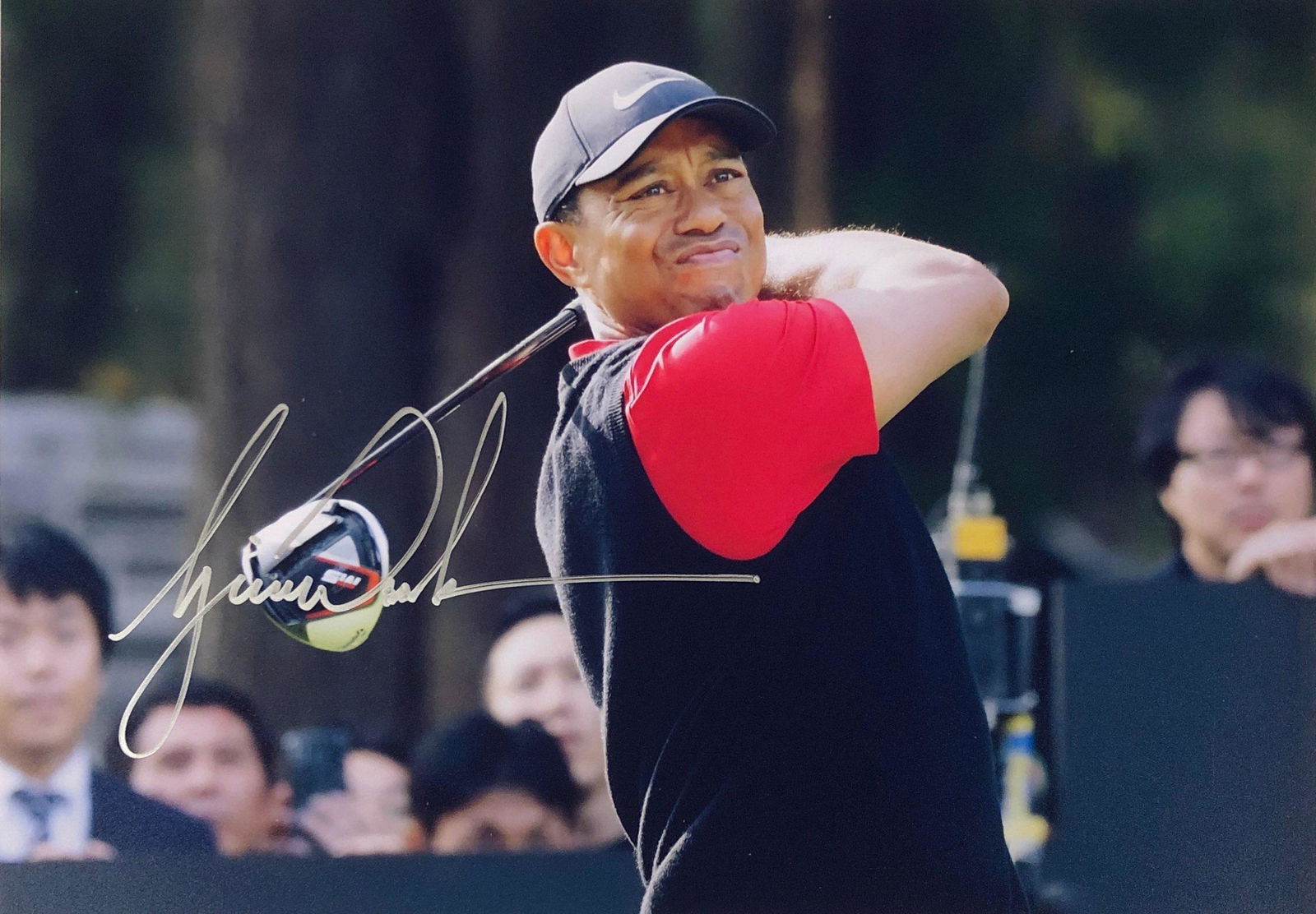 Golf Signed Photo Tiger Woods (1 of 1)