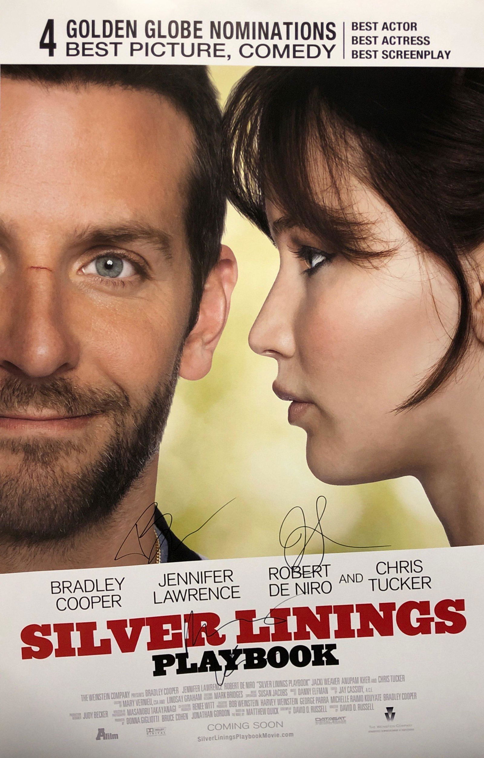 Silver Linings Playbook Poster Bradley Cooper (1 of 1)