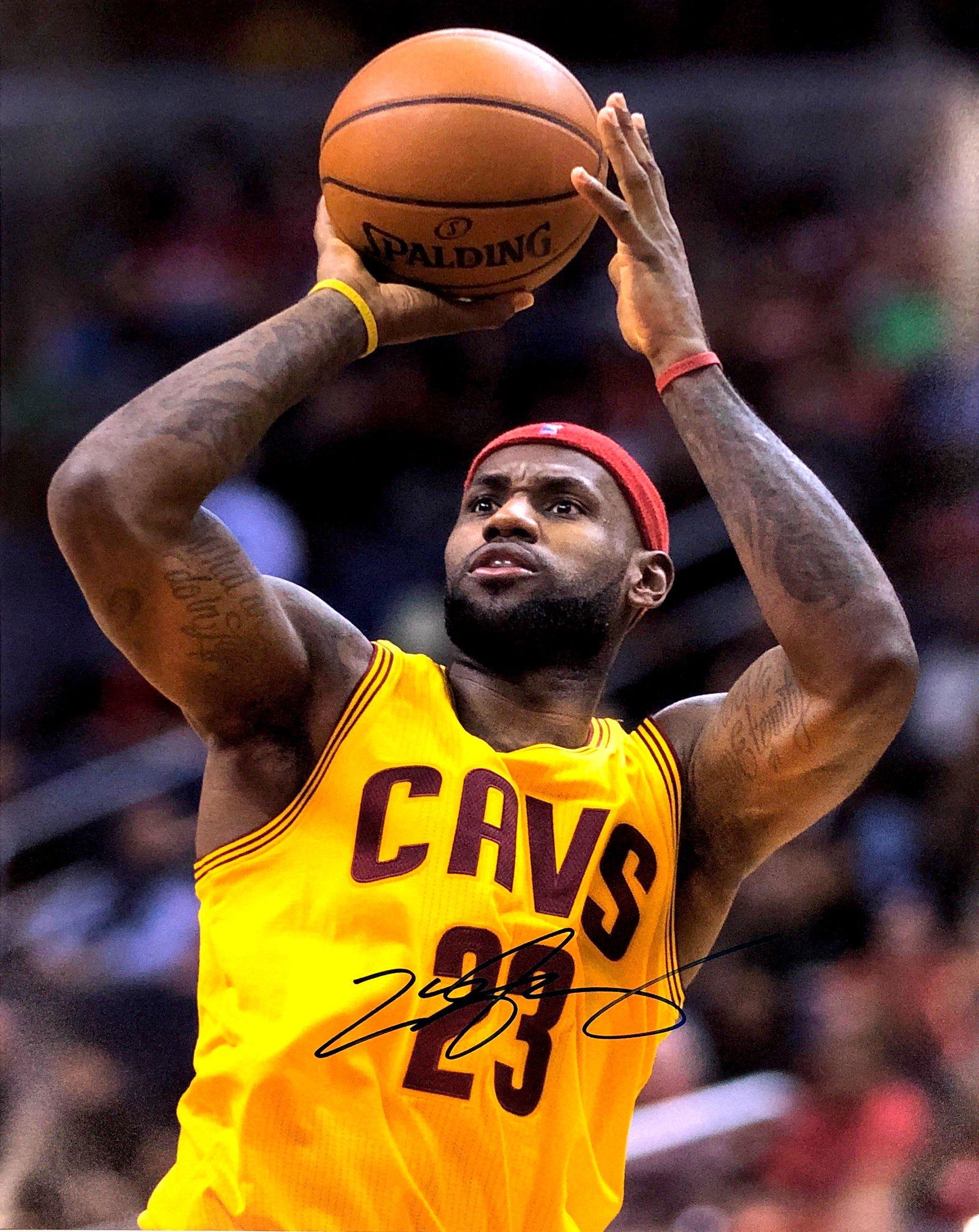 LeBorn James Autograph Signed Poster (1 of 1)