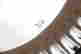 item-121960729=8