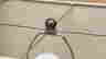item-131330626=2