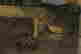 item-131330636=3