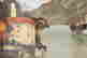 item-131330636=5