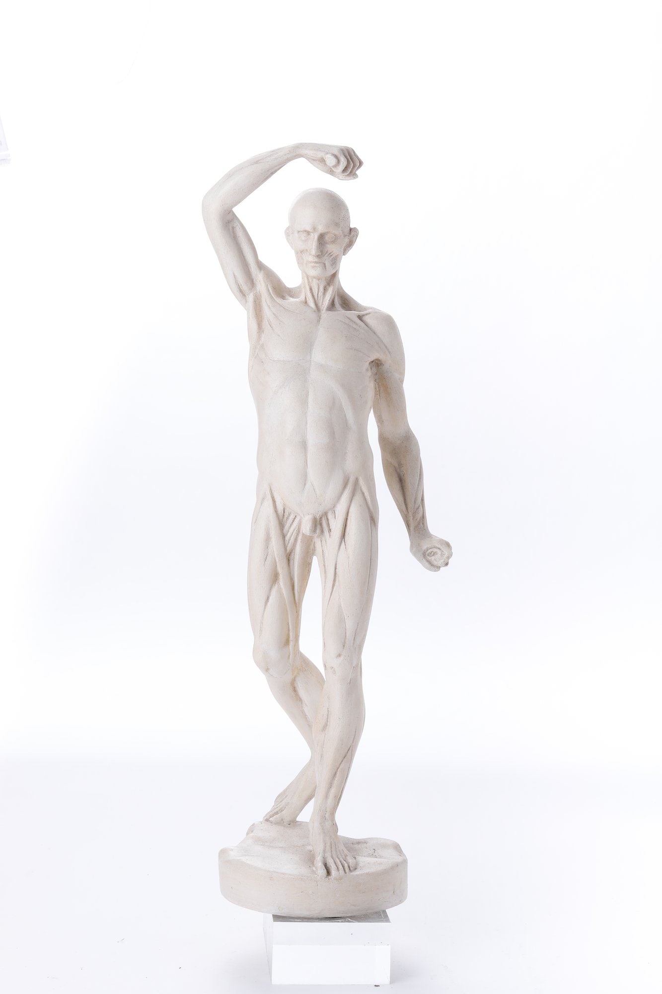 Anatomy Of Man Sculpture (1 of 8)