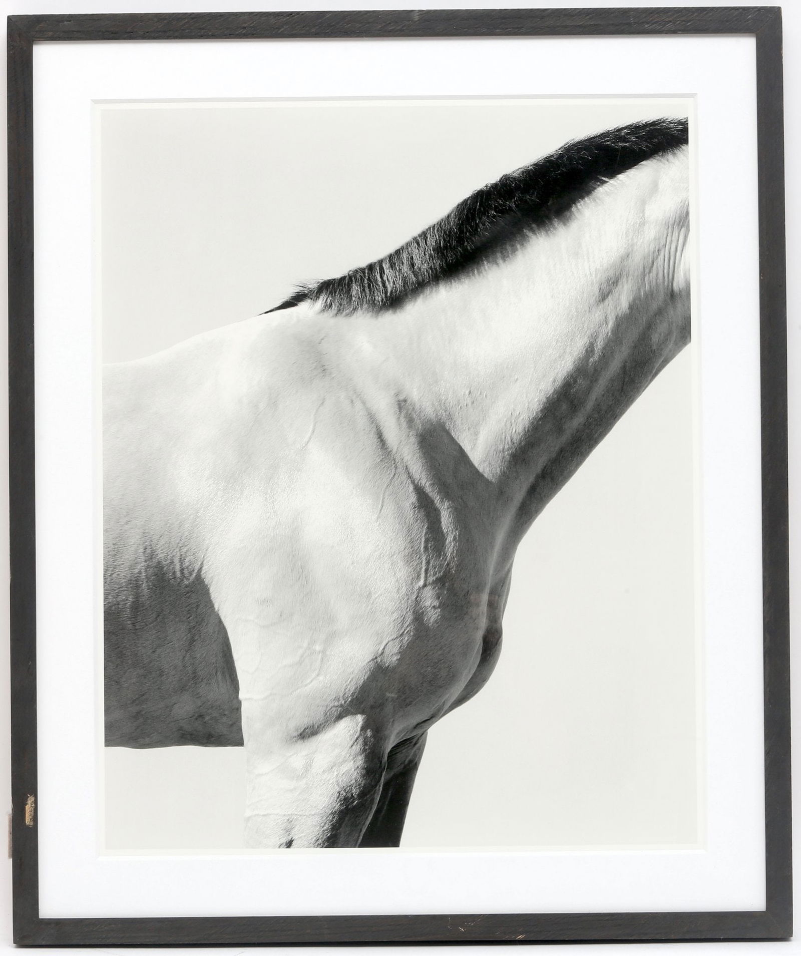 White Horse Neck 01, Palm Beach FL, 4 March 1995- Steven Klein (1 of 5)
