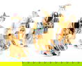 Fu Lu Shou Chinese Happiness Wealth And Longevity Gods