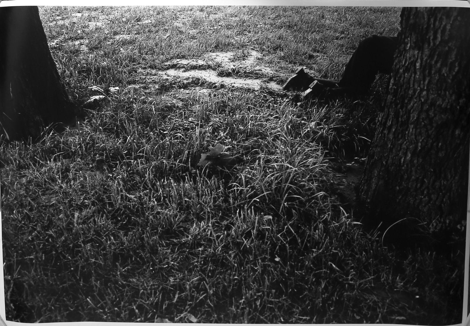 Anna Gaskell (Born 1969) Turns Gravity 2010 Black & White Silver Gelatin: From the collection of Pascal Dangin NYC-paper size 50 x 72 image size 48 x 70 Low Estimate: 500.00 High Estimate: 1500.00