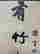 item-129056488=4
