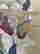 item-131672642=6