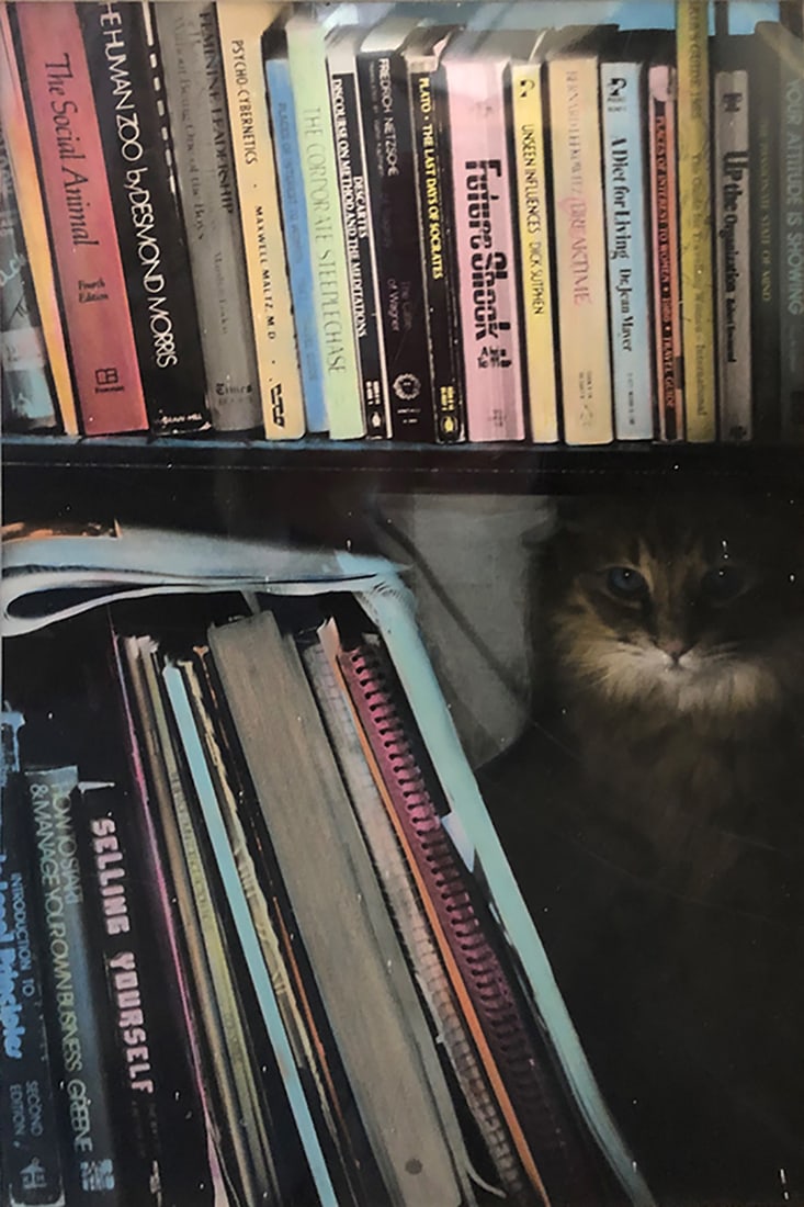 Bridgette Sandoval, Unique Hand-Enhanced Professional Photograph of Cat with Books: Bridgette Sandoval, "Cat with Books", hand-enhanced professional photograph, unframed, sight dimensions: 12 x 8 in., piece includes matting. Condition: Very Good, matting is aged, signed by artist in