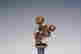 item-108710193=5
