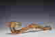 item-108710200=3