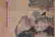 item-108710311=3