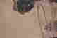 item-108710311=4