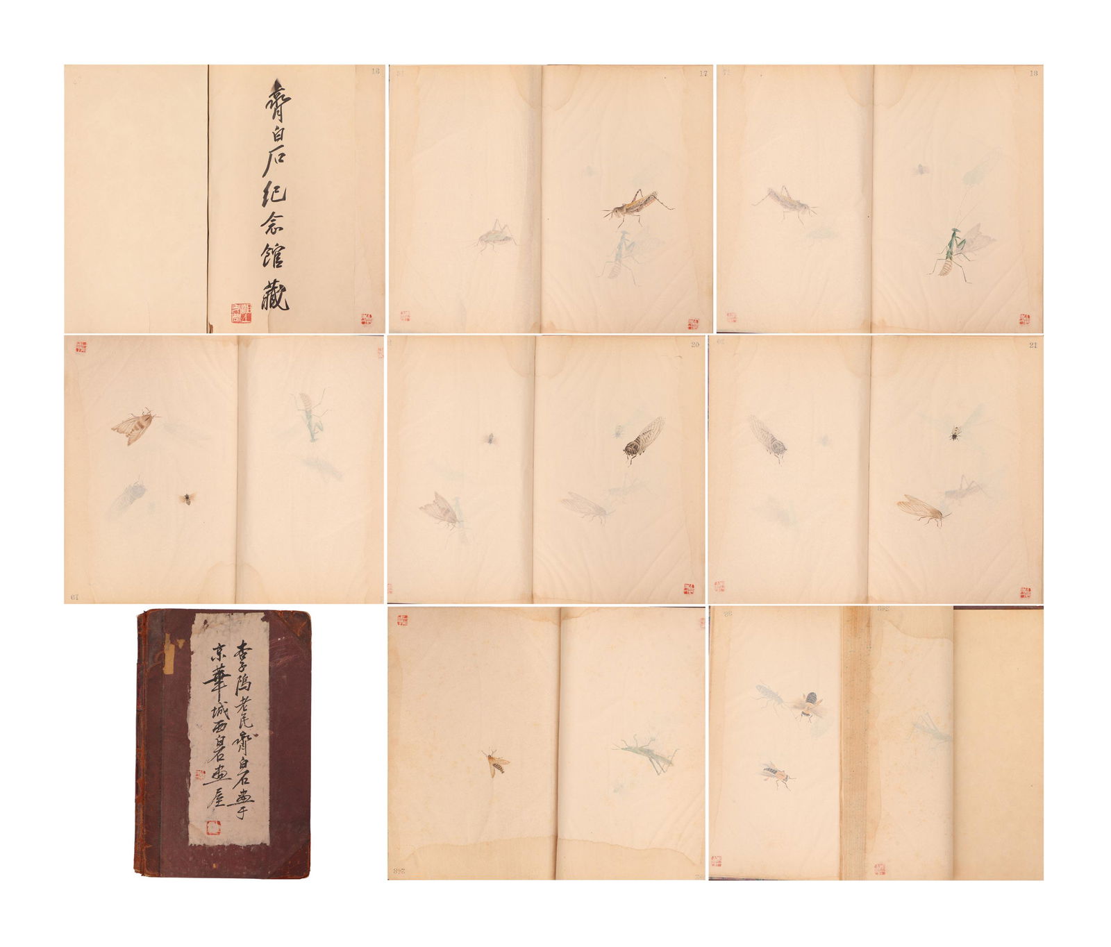 A CHINESE PAINTING ALBUM OF INSECTS SIGNED QI BAISHI (1 of 11)