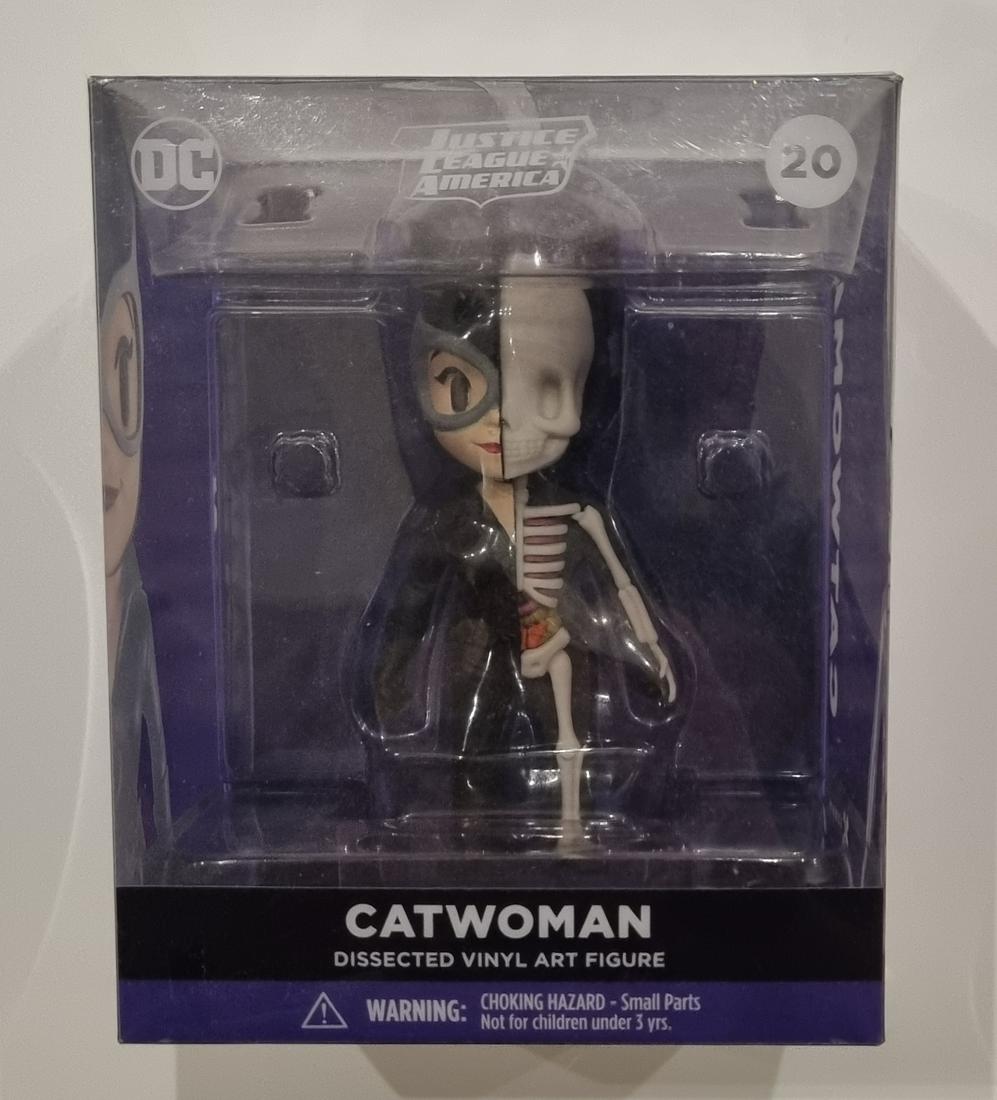 XXRAY XXRAY Catwoman (1 of 1)